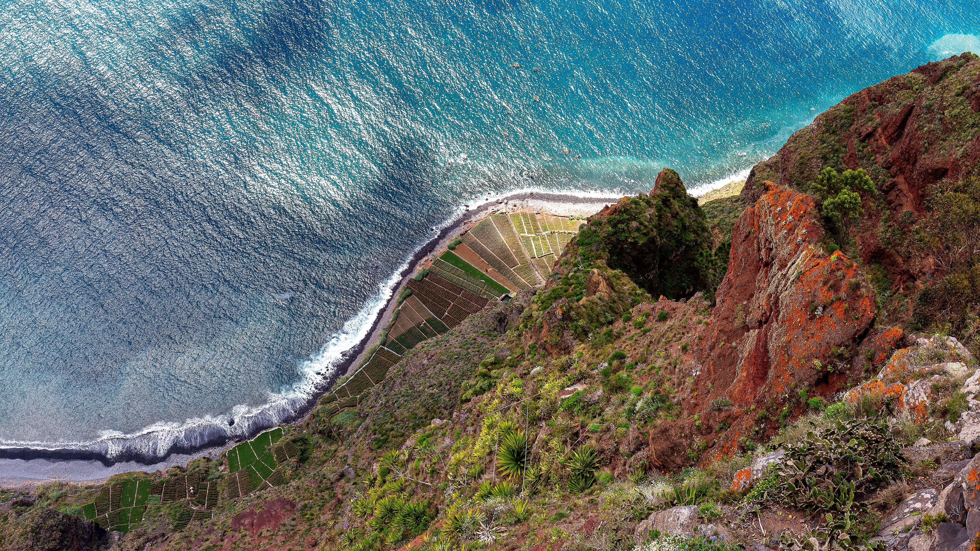 Terraced plots and volcanic cliffs meeting the Atlantic on the south coast of Madeira