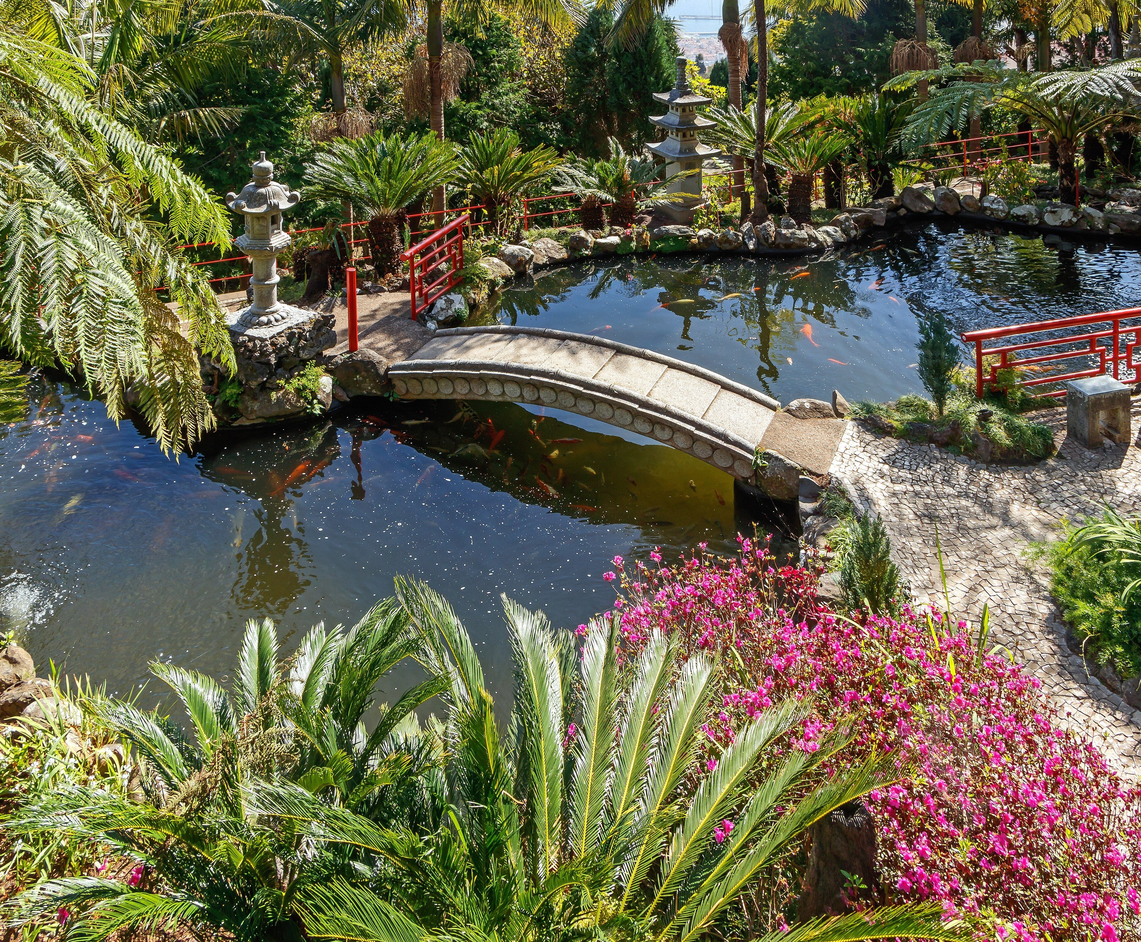 Shaded oriental garden with stone bridge, ferns and still water, Monte, Madeira
